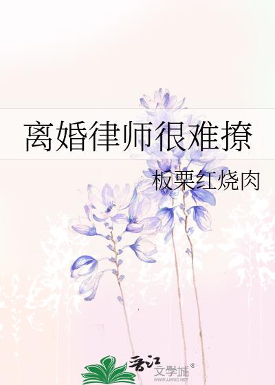 离婚律师很难撩