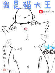 我是猫大王小说简介